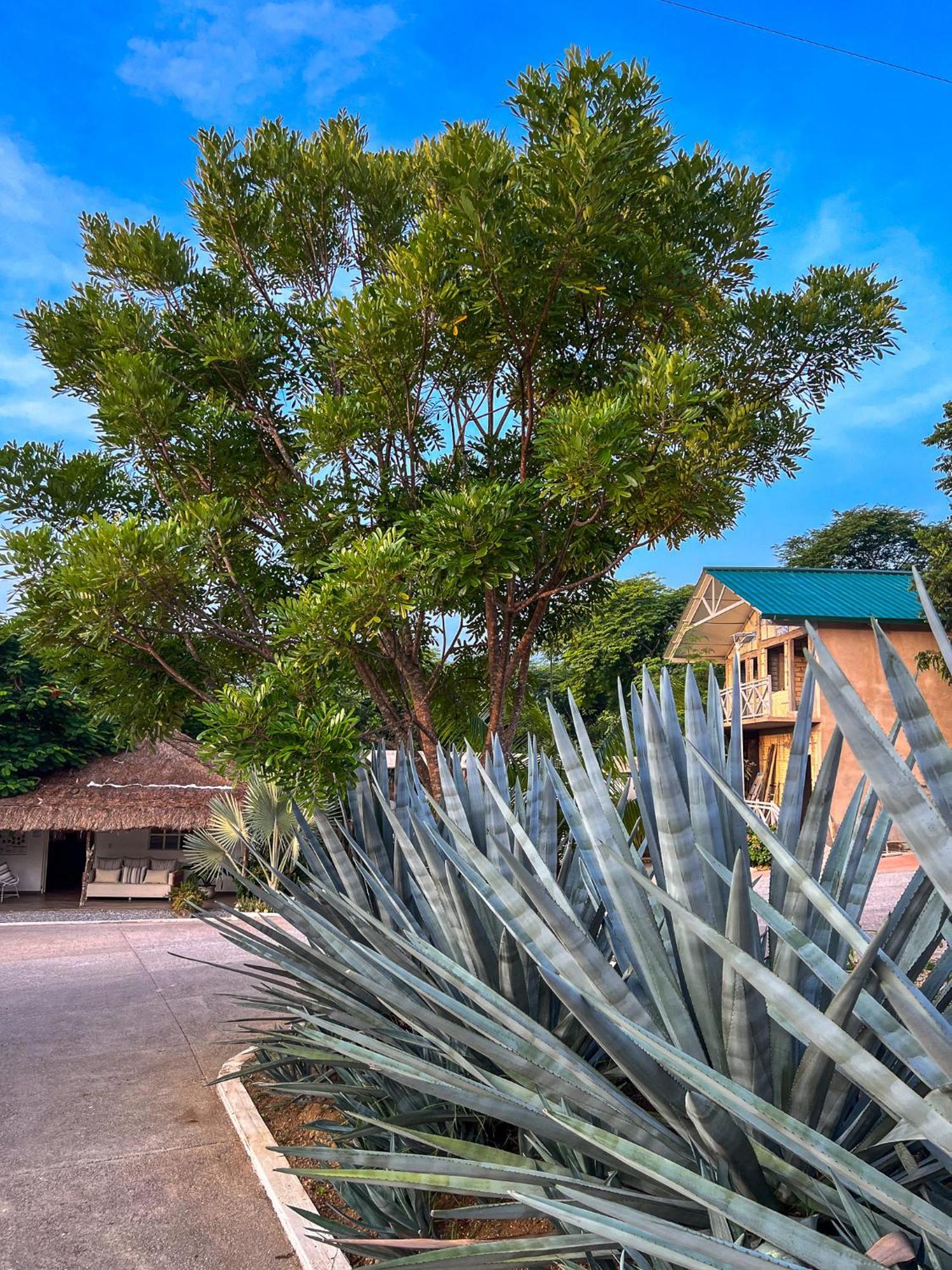 Villas El Encanto Халпан Екстериор снимка